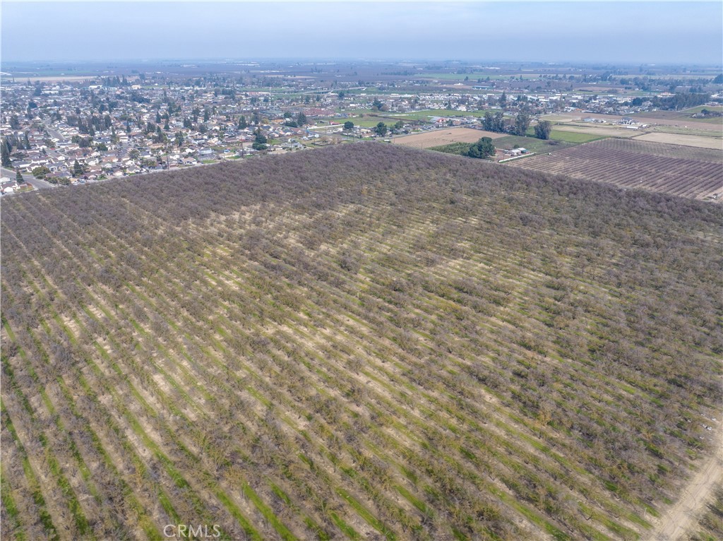 0 August, Delhi, CA 95315