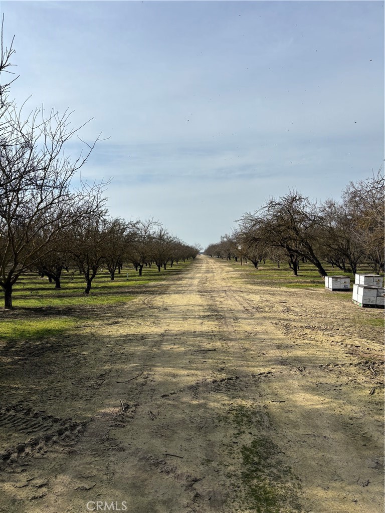 0 August, Delhi, CA 95315