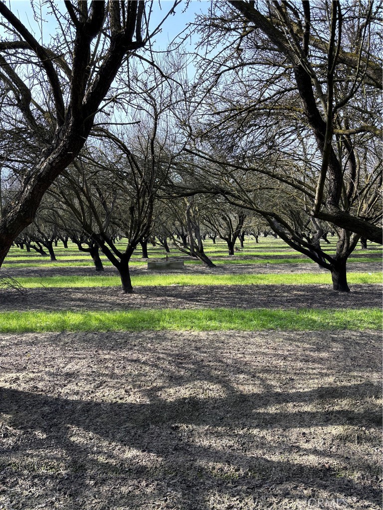 0 August, Delhi, CA 95315