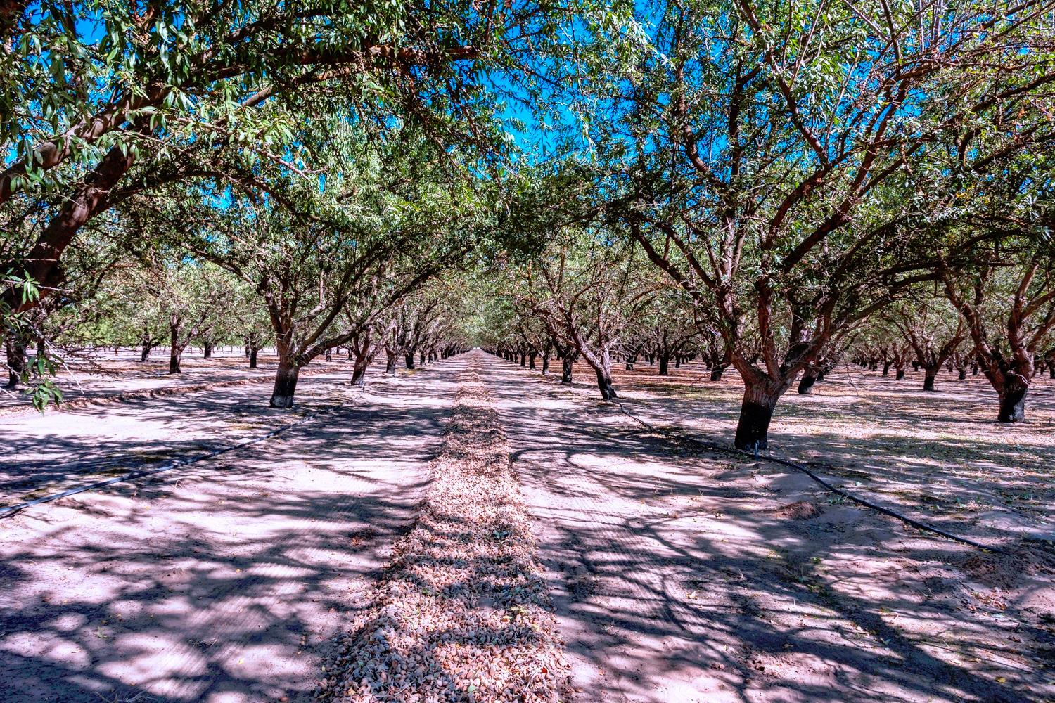 0 000 White Crane Rd, Atwater, CA 95301