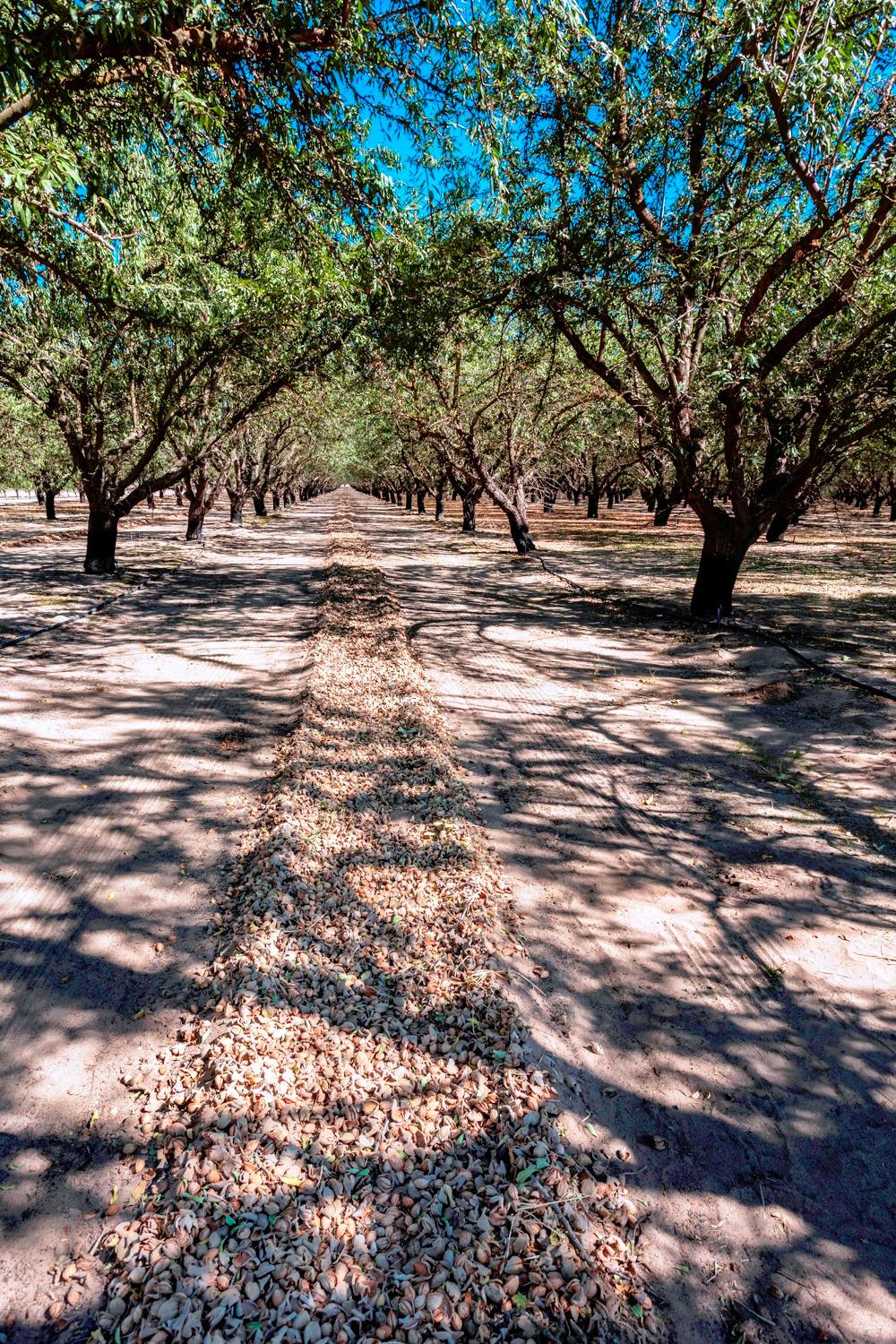 0 000 White Crane Rd, Atwater, CA 95301