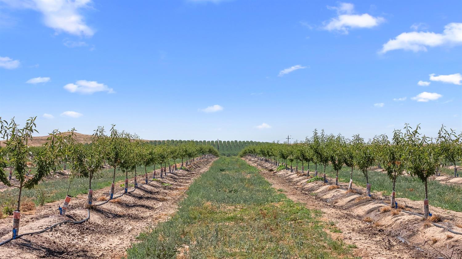 15726 Allen Road, Snelling, CA 95348