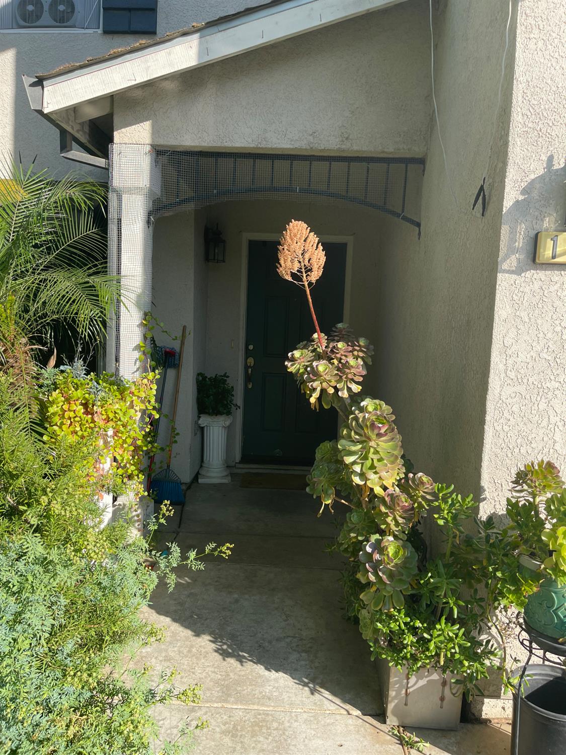 1242 Sunup Dr, Merced, CA 95348