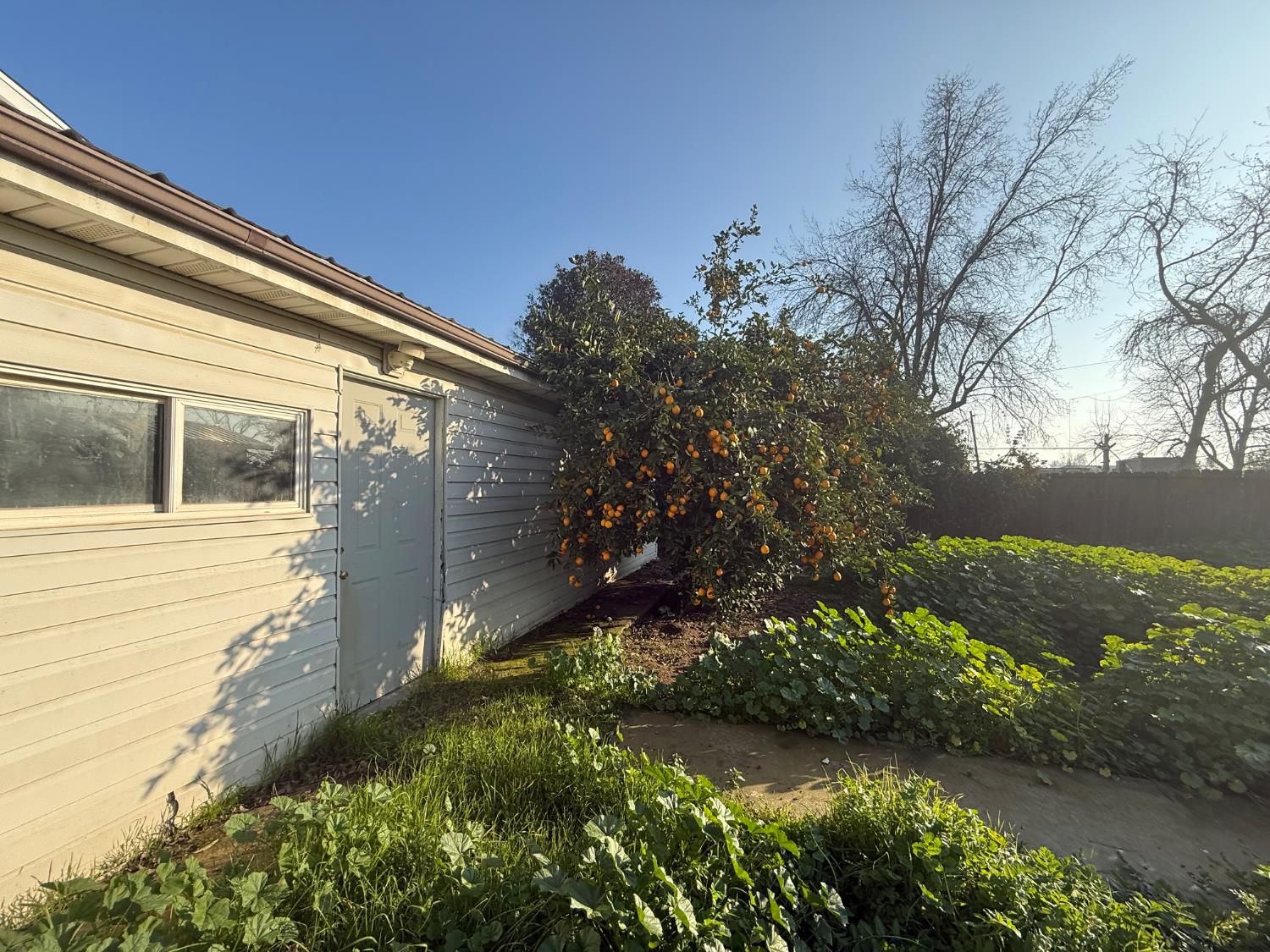 16641 Colony St, Dos Palos, CA 93620