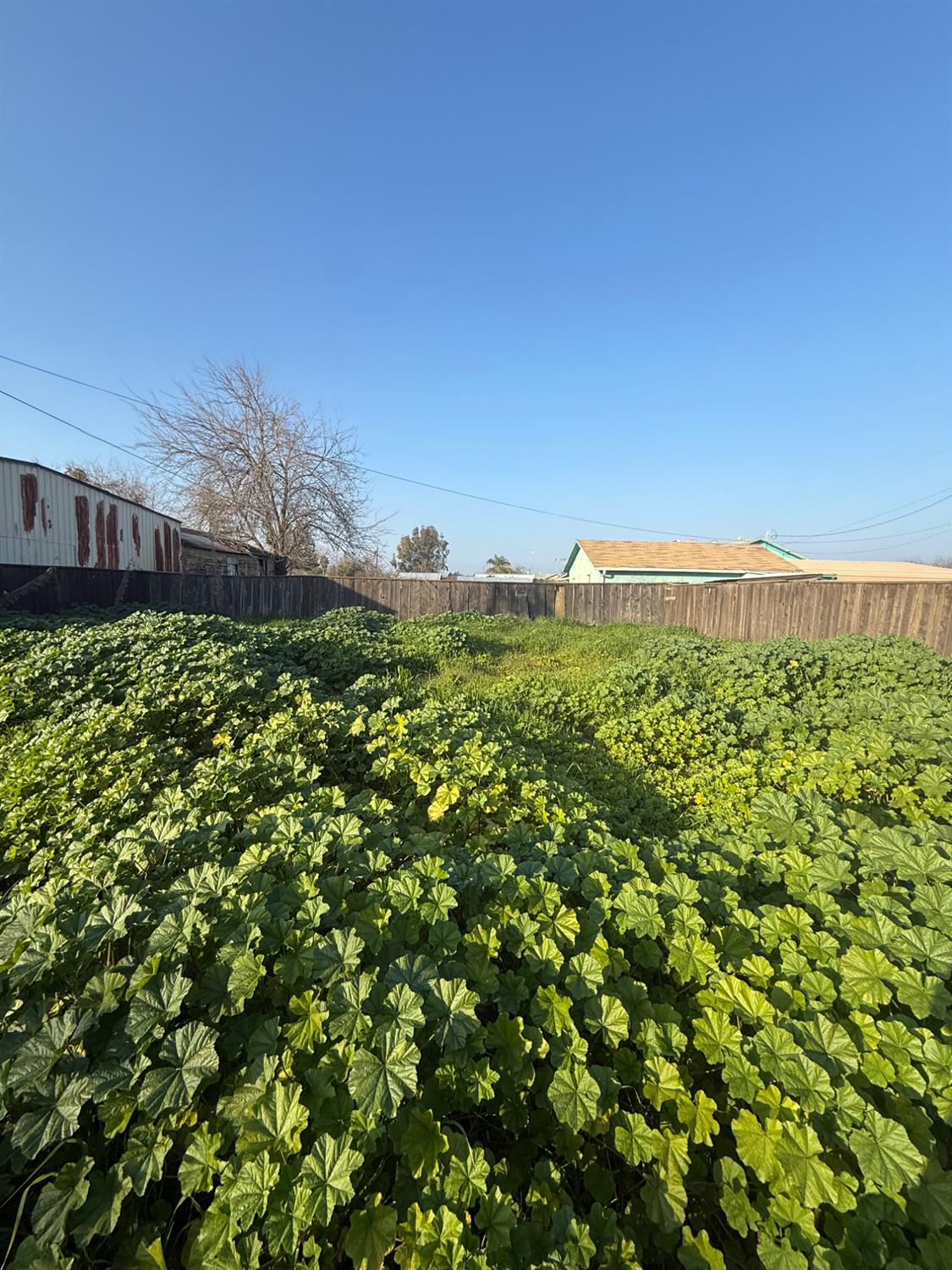 16641 Colony St, Dos Palos, CA 93620